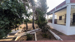 CBoter_19